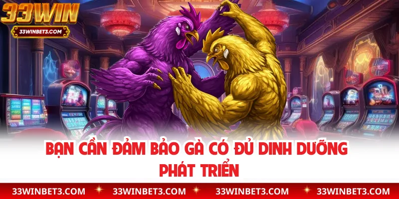 Bạn cần đảm bảo gà có đủ dinh dưỡng phát triển